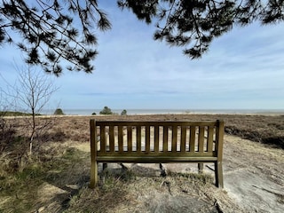 Landschaft