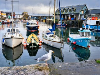 Casa vacanze St. Austell Registrazione all'aperto 7