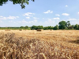 Maison de vacances Ashbourne (Derbyshire) Environnement 48