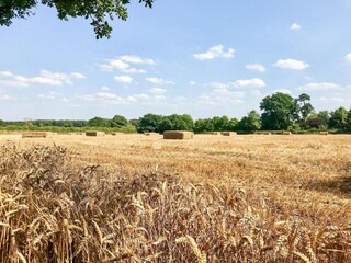 Casa vacanze Ashbourne (Derbyshire) Ambiente 43