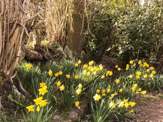 Cottage Ashbourne (Derbyshire) Umgebung 20