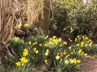Cottage Ashbourne (Derbyshire) Umgebung 23