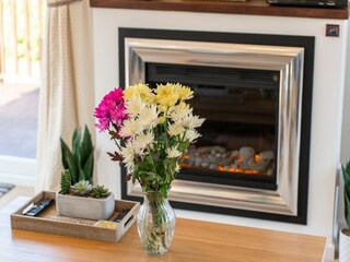 Chalet Plymouth  30