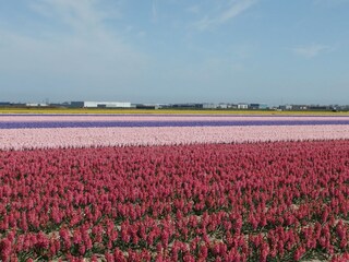Casa per le vacanze Julianadorp Ambiente 22