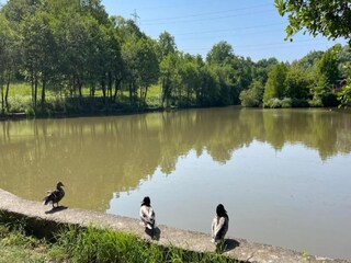 Chalet Crowborough Environnement 25