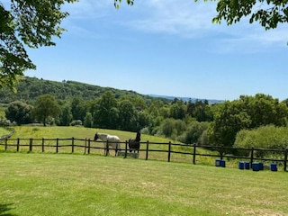 Chalet Crowborough Omgeving 16