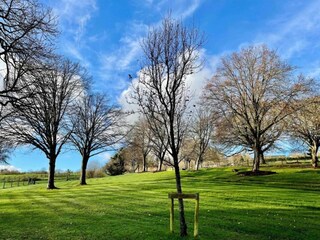 Vakantiehuis Crowborough Omgeving 22