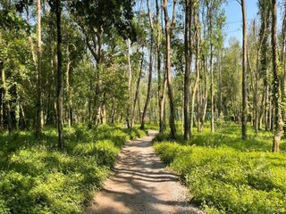 Vakantiehuis Crowborough Omgeving 32
