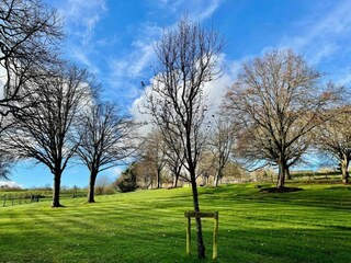 Vakantiehuis Crowborough Omgeving 23