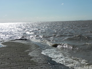 Der Dollart bei normal Hochwasser