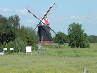 Mühle Whynhamsterkolk