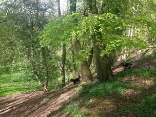 Chalet Welt Environment 27