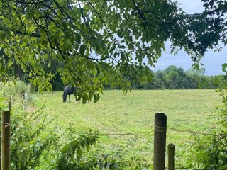 Chalet Welt Environnement 19