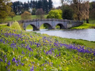 Chalet Welt Entorno 24