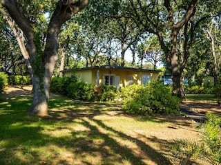 Ferienpark San Vincenzo Außenaufnahme 5