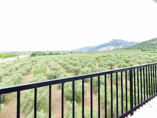 Apartment Roses Außenaufnahme 5