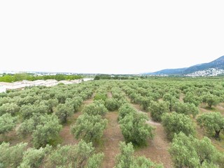 Appartement Roses Buitenaudio-opname 6