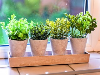 Bungalow Burnham on Sea  42