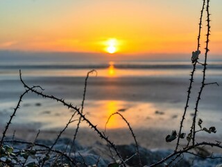 Bungalow Burnham on Sea Buitenaudio-opname 9