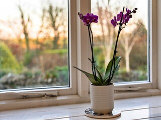 Appartement Boscastle  32