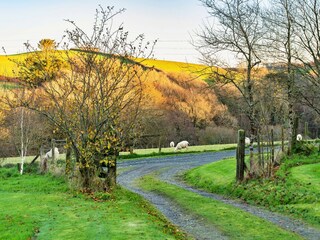 Appartamento Boscastle Registrazione all'aperto 5