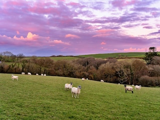 Appartement Boscastle Enregistrement extérieur 8