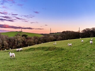 Appartamento Boscastle Registrazione all'aperto 6