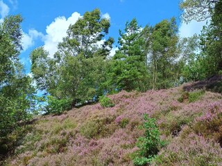 Casa per le vacanze Gjern  29