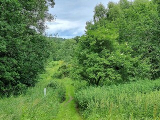 Casa per le vacanze Gjern  31