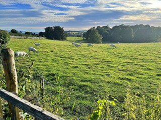 Holiday cottage Austwick Outdoor Recording 10
