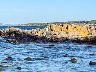 Ferienhaus Allinge Außenaufnahme 5