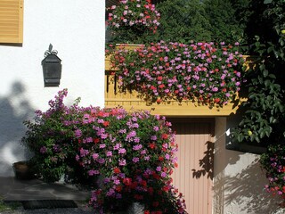 Appartamento per vacanze Lana Registrazione all'aperto 3