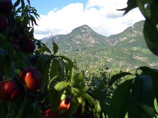 Appartamento per vacanze Lana Ambiente 16