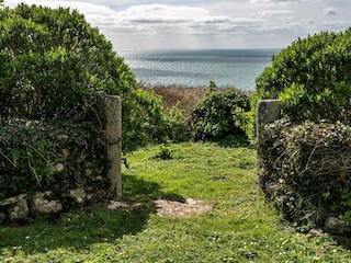 Cottage Godolphin Cross Außenaufnahme 12