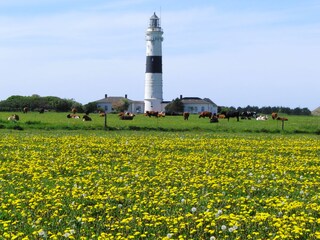 Leuchtturm Wenningstedt