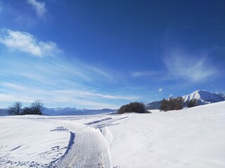 Appartamento per vacanze Terenten Ambiente 29