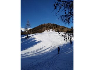 Appartamento per vacanze Terenten Ambiente 30