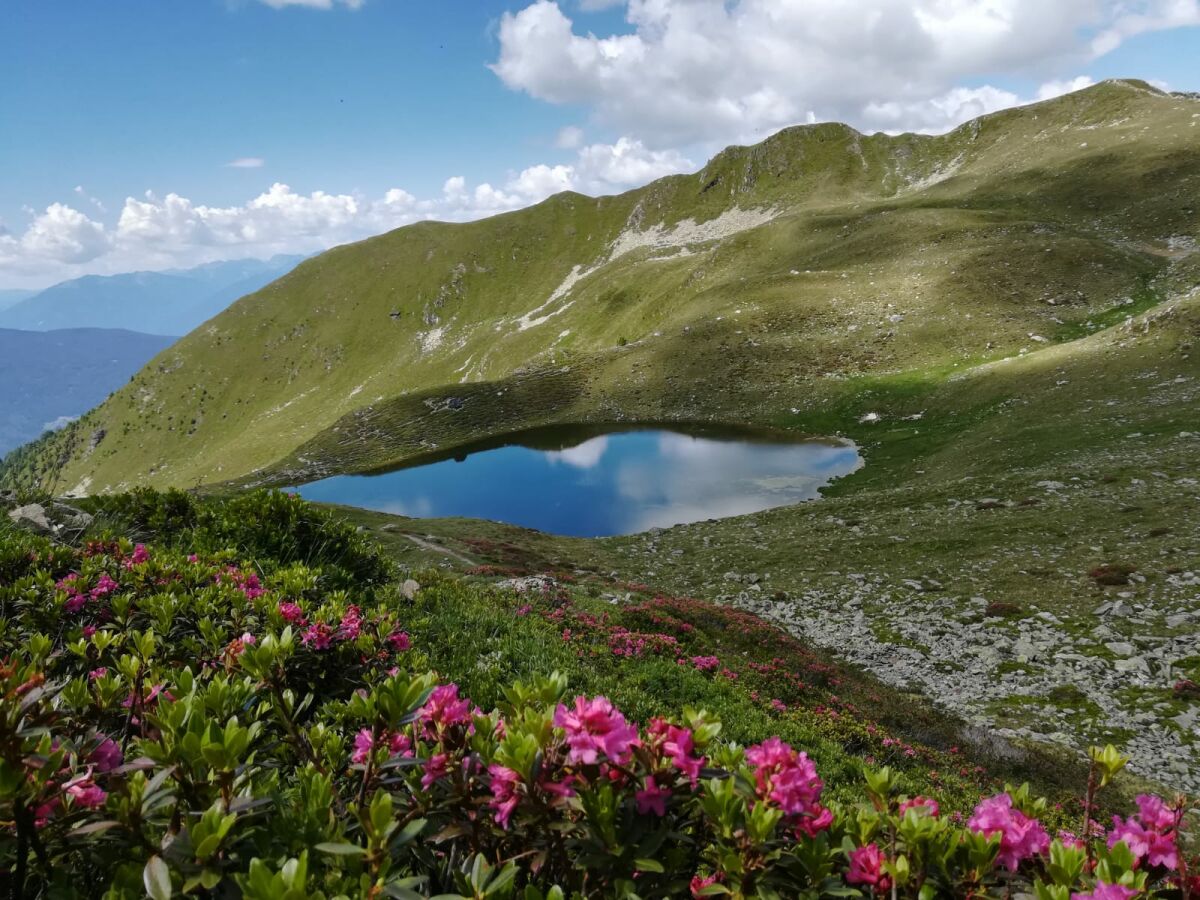 Grünbachsee