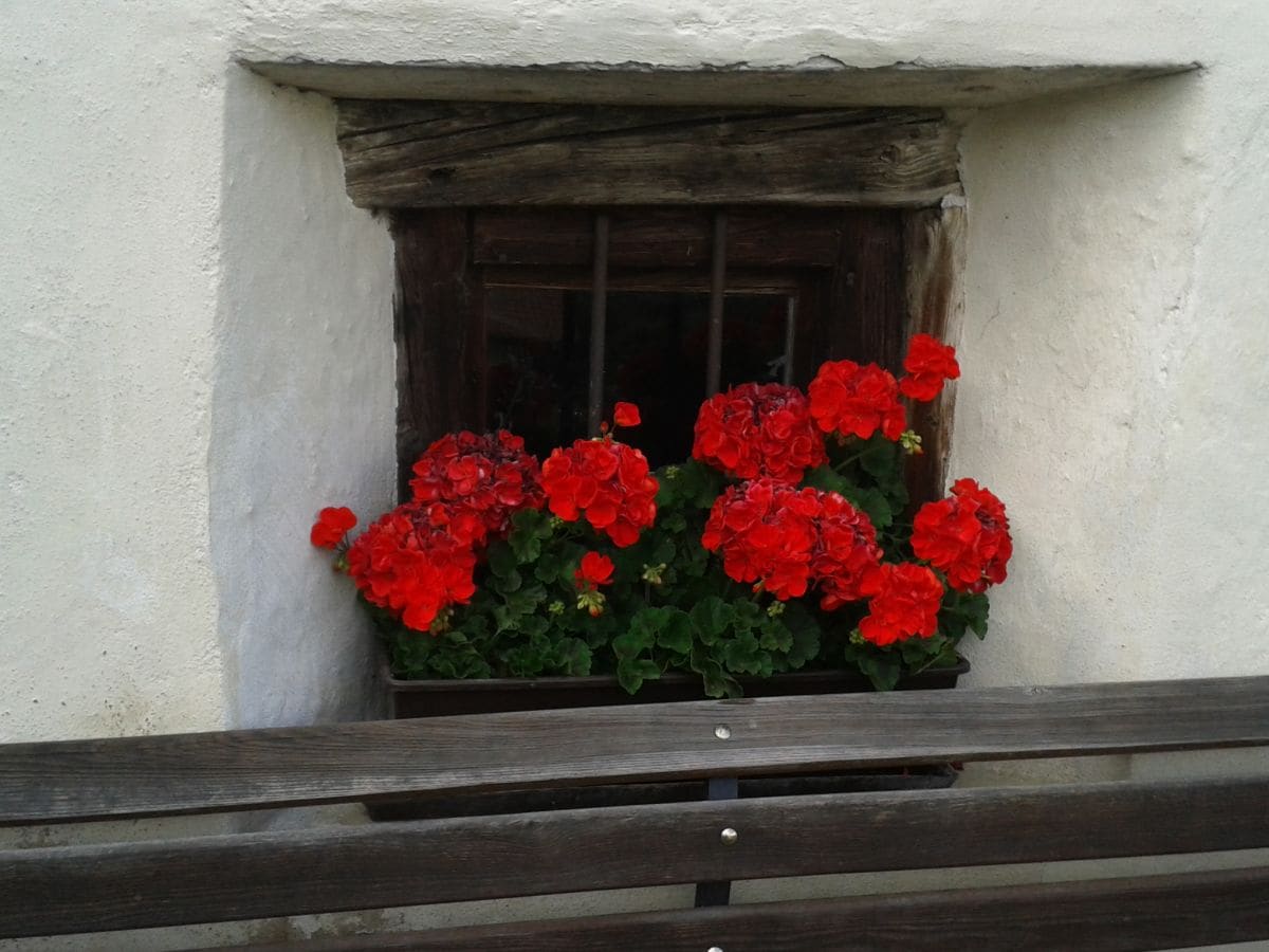 Brennende Liebe am uralten Fenster