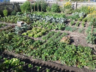 Appartamento per vacanze Terenten Ambiente 24