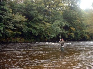 Apartment Caernarfon Environment 22