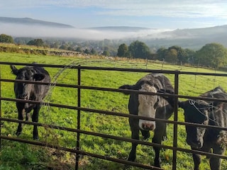 Cottage Hope Umgebung 25