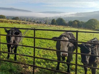 Vakantiehuisje Hope Omgeving 25