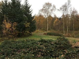 Ferienhaus Ichtegem Umgebung 33