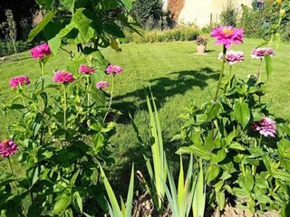 Appartement Chémery-sur-Bar  29