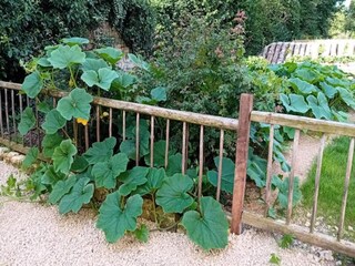 Appartement Chémery-sur-Bar  34