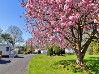 Chalet Caernarfon Umgebung 23