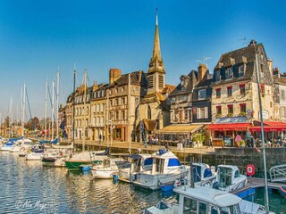 Appartement Honfleur  13