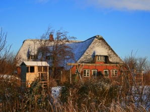 Ferienwohnung 1 auf Westerdeich 4 in Rodenäs - Rodenäs - image1