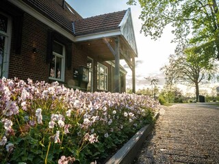 Villa Kotten Outdoor Recording 2